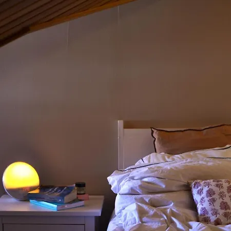 아파트 One-bedroom In The Center Of