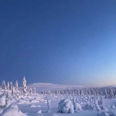 아파트 One-bedroom In The Center Of 사리셀카